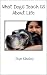 What Dogs Teach Us About Life
