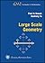 Large Scale Geometry (EMS Textbooks in Mathematics) by Piotr W. Nowak (2012-10-15)