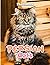 Persian Cats Photo Book: Pi...