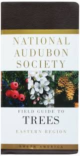 Audubon Society Field Guide to North American Trees: Eastern Region (Paperback)