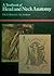 A Textbook of Head and Neck Anatomy by Barry K.B. Berkovitz