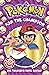Pokémon: Ash the Champion
