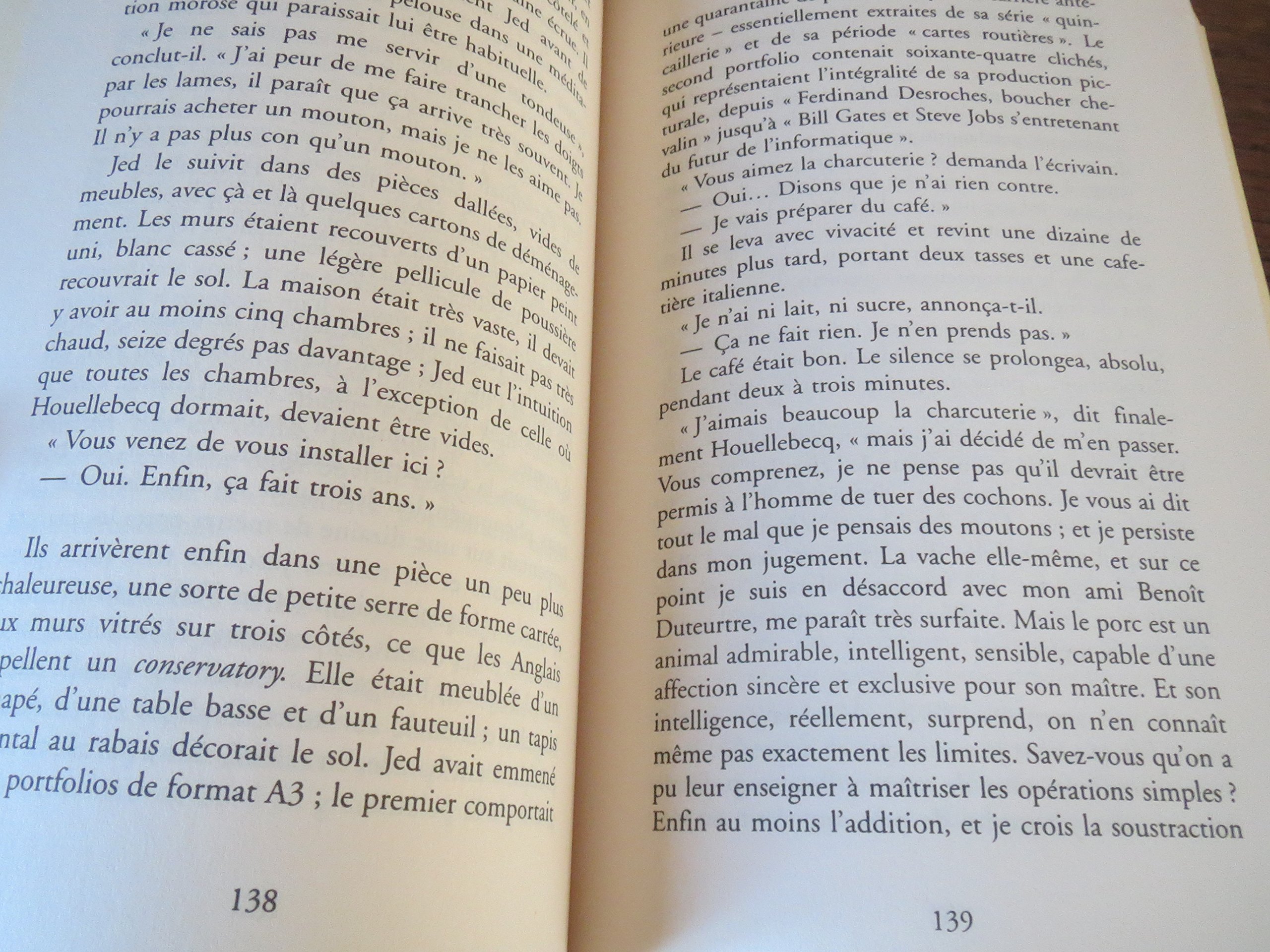 La Carte Et Le Territoire (French Edition) Flammarion edition by Michel Houellebecq (2010) Paperback