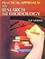 Practical Approach to Research Methodology