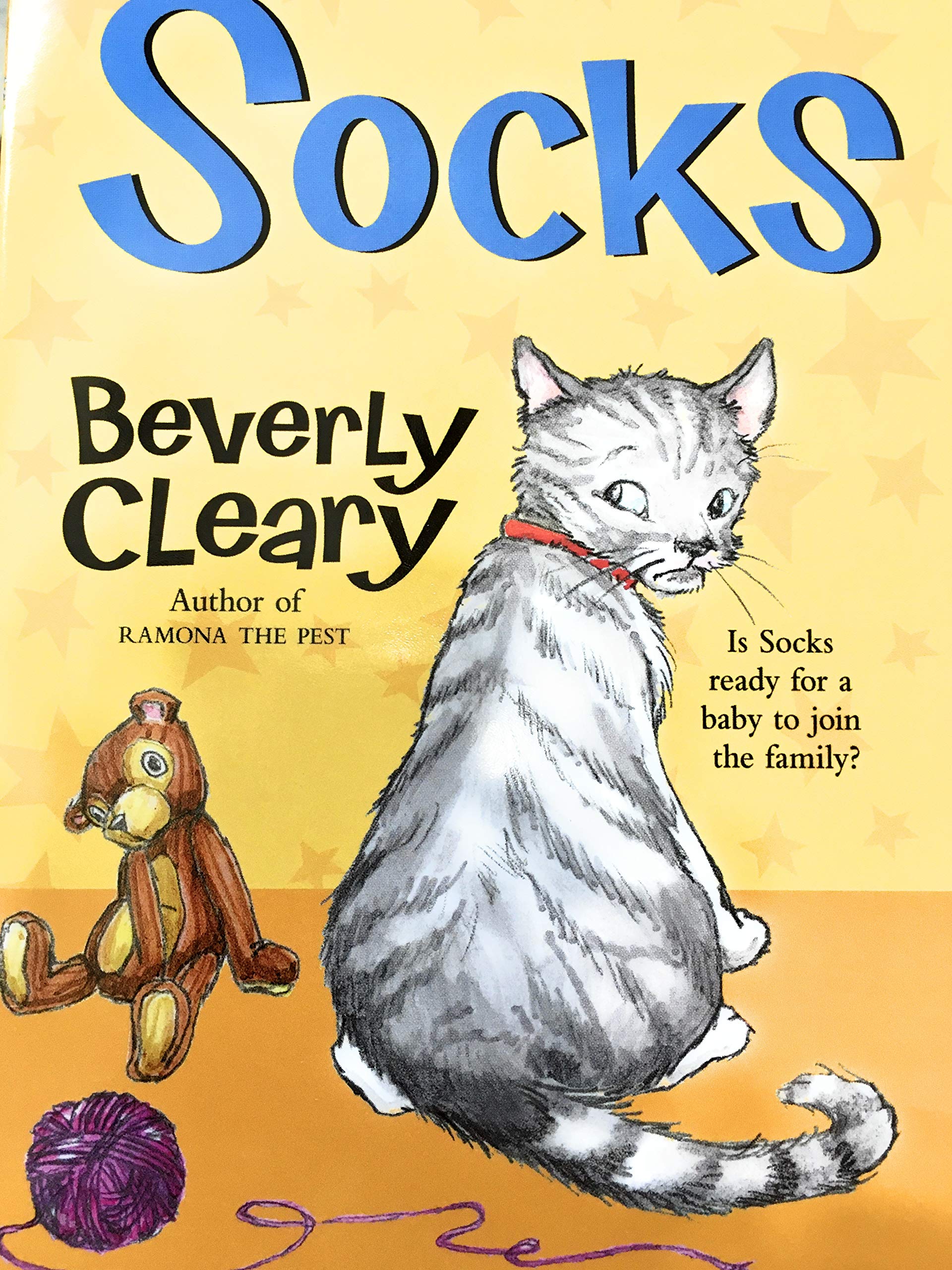 Socks (Paperback)