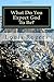 What Do You Expect God To Be? by Louis Rogers (2015-08-16)