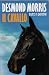 Il cavallo. Tutti i perché (Ingrandimenti)