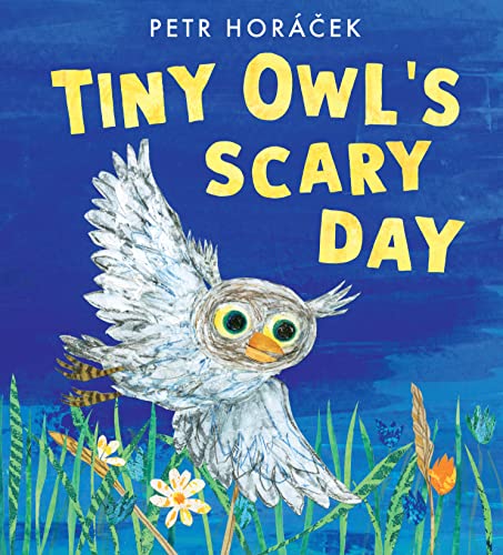 Walker Books Ltd Tiny Owls Scary Day. (Hardcover)