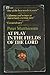 At play in the fields of the Lord (Signet books)