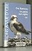 LA PETITE AUX AIGLES by GABRIELLE EVE