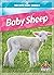 Baby Sheep
