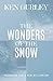 The Wonders of the Snow