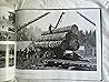 A Photographic History Truckee & Lake Tahoe