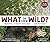 What in the Wild? by Schwartz, David, Schy, Yael (2010) Hardcover