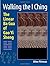 Walking the I Ching by Pittman, Allen. (Blue Snake Books,2008) [Paperback]