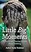 Little Big Moments by Andrew Taylor-Troutman
