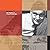 Will Burtin and the Display of Visual Knowledge by R. Roger Remington (2009-01-01)