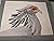 Album of Abyssinian Birds a...