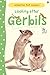 Looking After Gerbils (Usborne Pet Guides) by Laura Howell (2013) Hardcover
