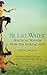 Be Like Water: Practical Wisdom from the Martial Arts by Joseph Cardillo (2003-11-05)