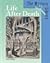 Life After Death by Nancy Hoffman