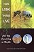 How Long Things Live: And How They Live as Long as They Do