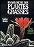 Encyclopédie des plantes grasses by Gordon Rowley