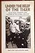 Under the belly of the tiger: Class, race, identity, and culture in the global Ireland (Irish reporter publications making history series)