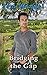 Bridging the Gap (Larchdown Valley #2)