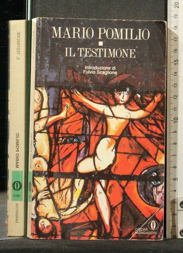 Il Testimone (Italian Edition)