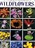 Photographic Encyclopedia of Wildflowers