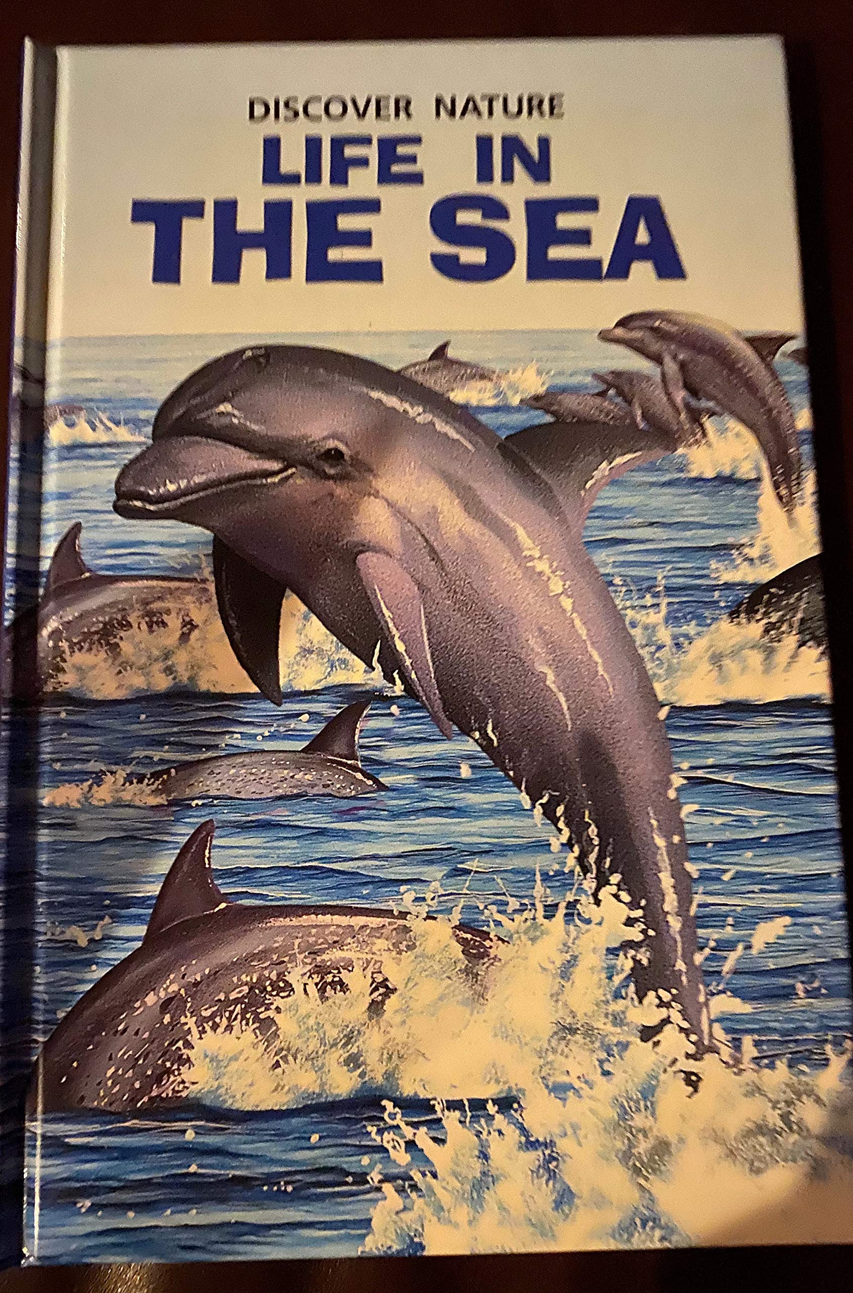 Discover Nature: Life in the Seas (Hardcover)
