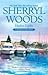Harbor Lights (The Chesapeake Shores Novel)