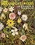 From Bread to Flowers in th...