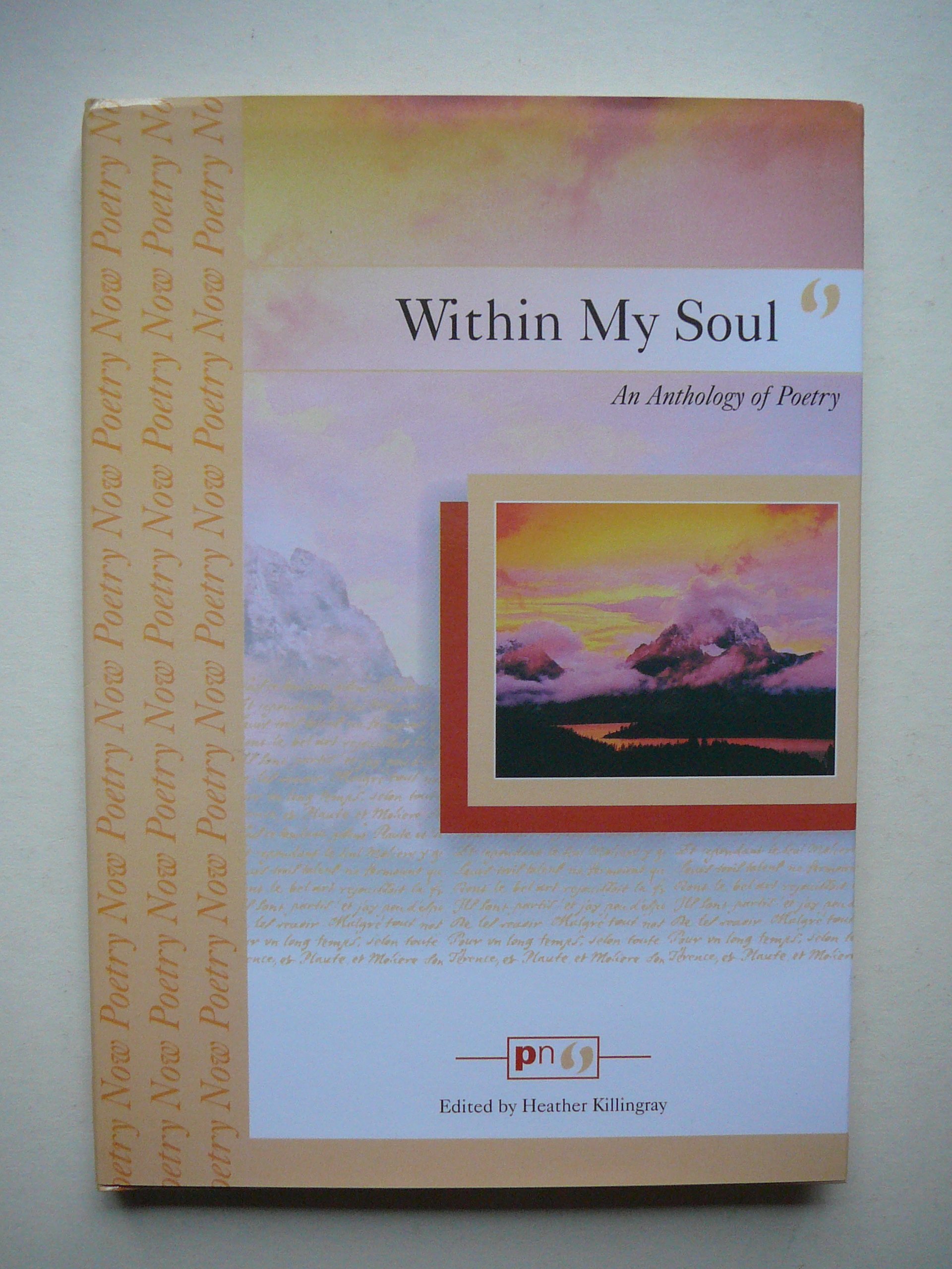 Within My Soul (Hardcover)