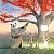 Zen Ghosts (A Stillwater and Friends Book)
