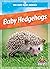 Baby Hedgehogs