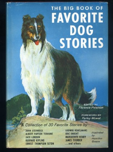 The Big Book of Favorite Dog Stoties (Hardcover)