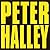 Peter Halley: Since 2000 by Jo Melvin (2014-09-30)