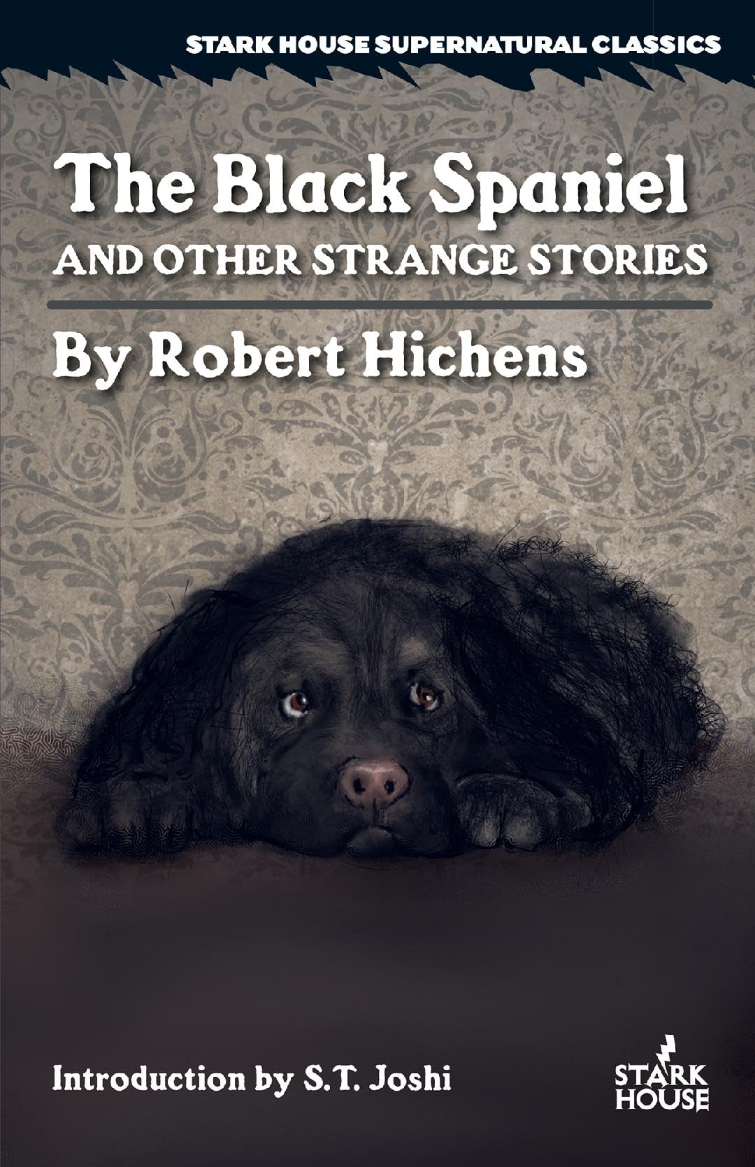 The Black Spaniel and Other Strange Stories (Paperback)
