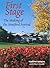 First Stage: The Making of the Stratford Festival by Tom Patterson (January 01,1999)