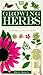 Growing Herbs by Deni Bown (1995-09-09)