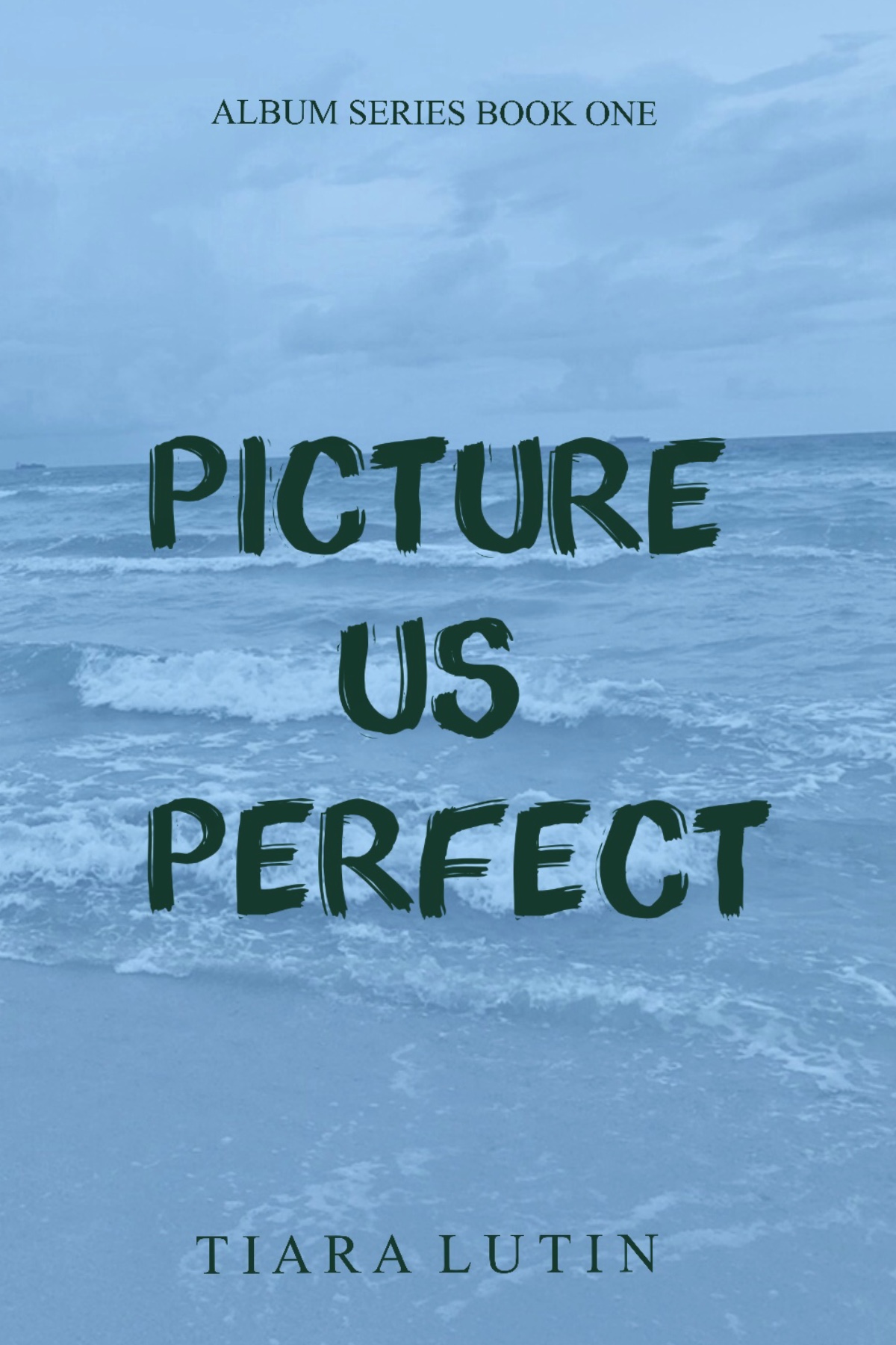 Picture Us Perfect (Album Series, #1)