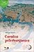 CUENTOS PETERBURGUESES