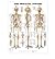 [(The Skeletal System 3D Raised Relief Chart)] [Author by Anatomical Chart Company