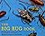 The Biggest Bug Book