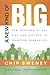A New Kind of Big: How Churches of Any Size Can Partner to Transform Communities by Chip Sweney (2011-01-01)