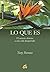 Lo Que Es: El Secreto Abierto a Una Vida Despertada (Advaita) (Spanish Edition) by Tony Parsons (2004-06-01)