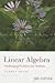 Linear Algebra- Challenging Problems for Students (2nd, 09) by Zhang, Fuzhen [Paperback (2009)]
