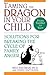 Taming the Dragon in Your Child: Solutions for Breaking the Cycle of Family Ange